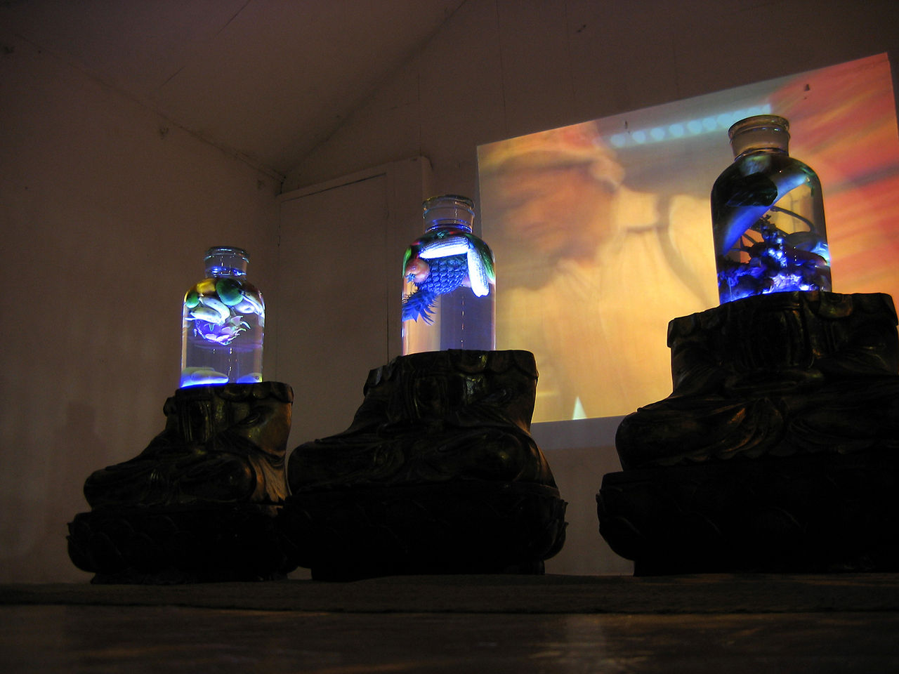 Photographic documentation of Nguyen Quang Huy's 2005 solo exhibition titled "Unknown Women" at Ryllega Gallery (Details)